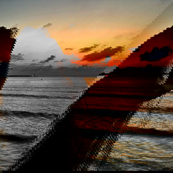 djami.lyalya djami.lyalya archive image