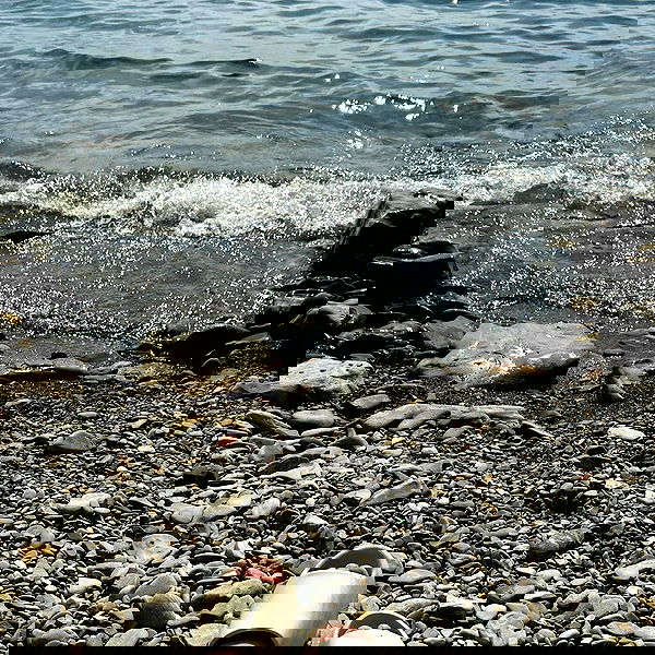 djami.lyalya djami.lyalya archive image