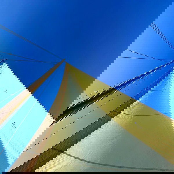 djami.lyalya djami.lyalya archive image