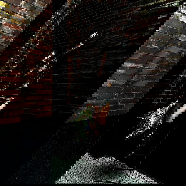 djami.lyalya djami.lyalya archive image