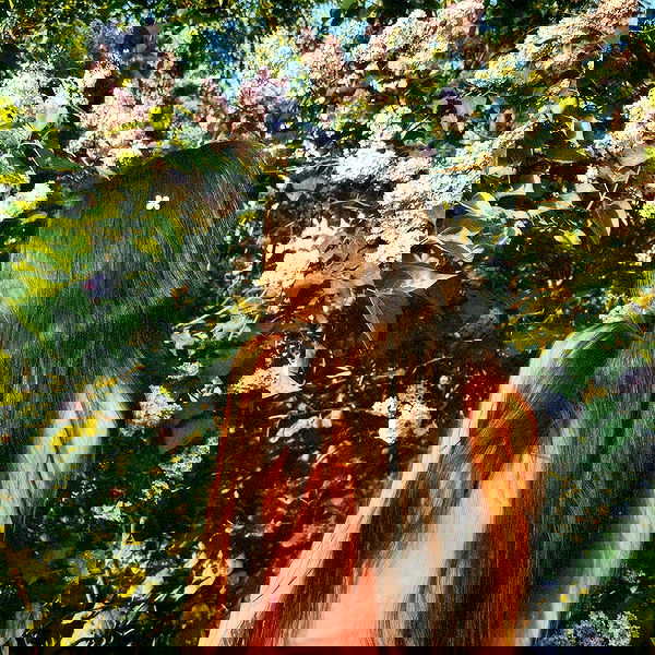 djami.lyalya djami.lyalya archive image