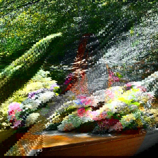 djami.lyalya djami.lyalya archive image