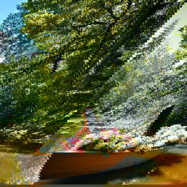 djami.lyalya djami.lyalya archive image