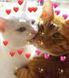 dovecameron Altpins Profile Picture