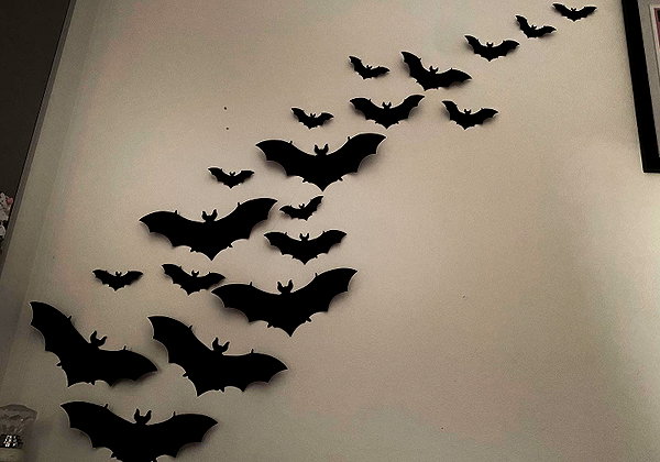 draculula instagram image archive image