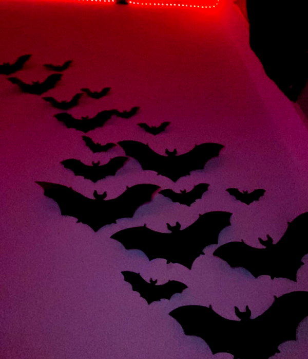 draculula instagram image archive image