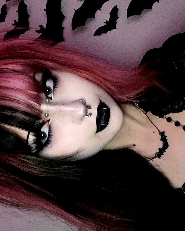 draculula instagram image archive image