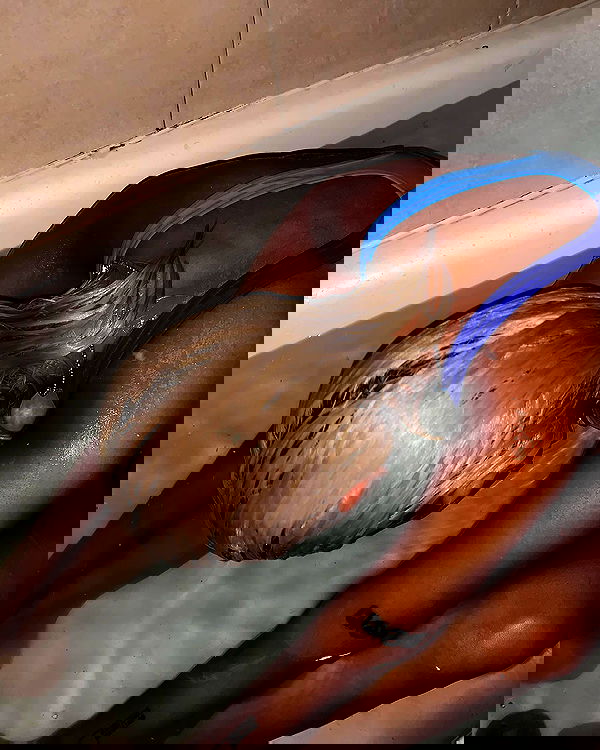 dreambabydrea dreambabydrea archive image