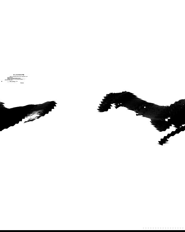 dreambabydrea dreambabydrea archive image