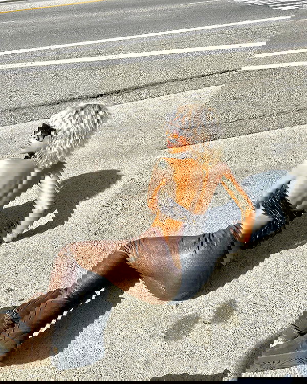 dreambabydrea dreambabydrea archive image