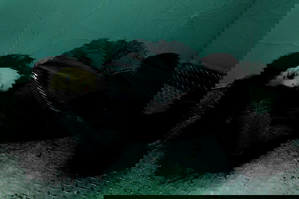 dreambabydrea dreambabydrea archive image