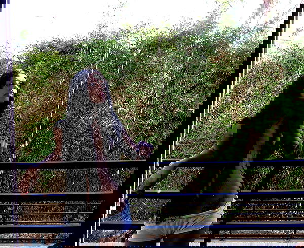 dreambabydrea dreambabydrea archive image