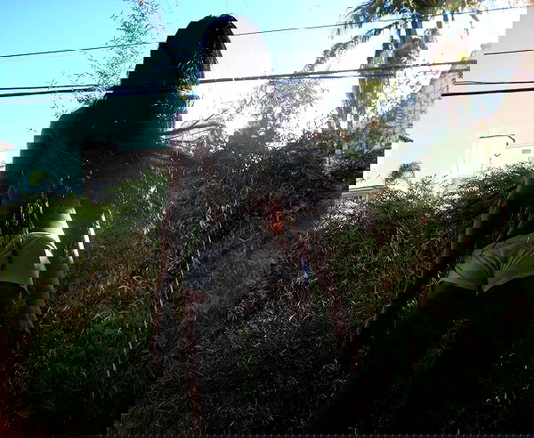 dreambabydrea dreambabydrea archive image