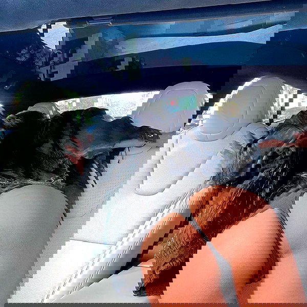 dreambabydrea dreambabydrea archive image