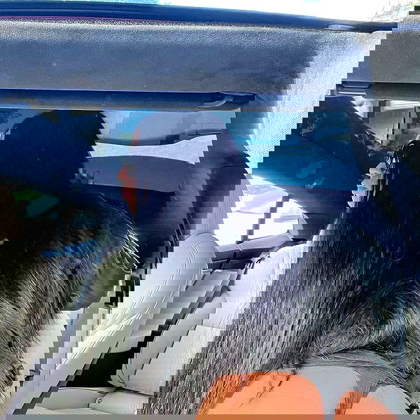 dreambabydrea dreambabydrea archive image