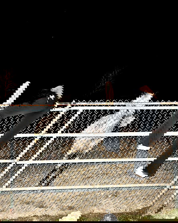 dreambabydrea dreambabydrea archive image