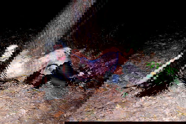 dreambabydrea dreambabydrea archive image