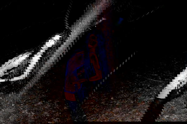 dreambabydrea dreambabydrea archive image