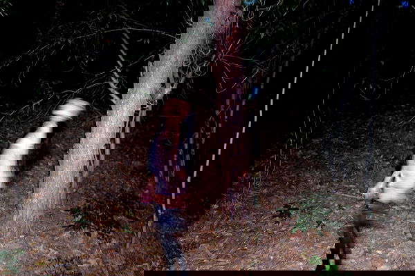 dreambabydrea dreambabydrea archive image