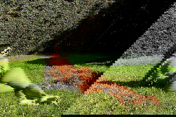 dreambabydrea dreambabydrea archive image