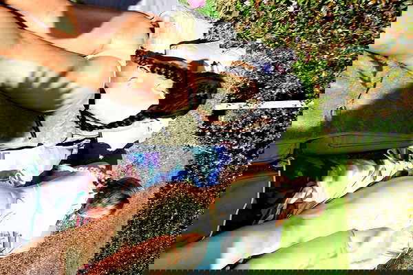 dreambabydrea dreambabydrea archive image