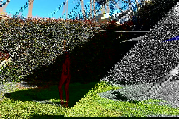 dreambabydrea dreambabydrea archive image