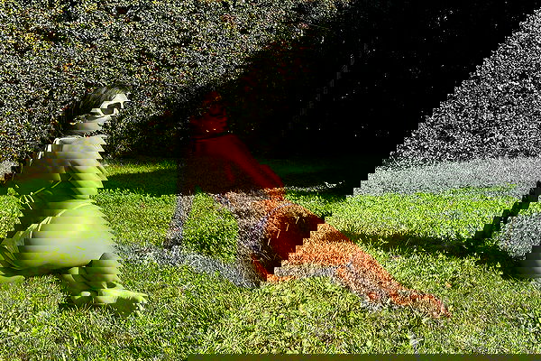 dreambabydrea dreambabydrea archive image