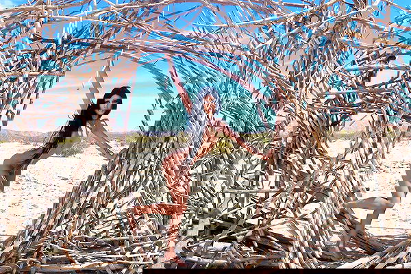 dreambabydrea dreambabydrea archive image