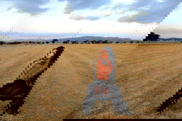 dreambabydrea dreambabydrea archive image