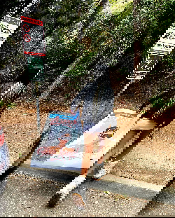 dreambabydrea dreambabydrea archive image