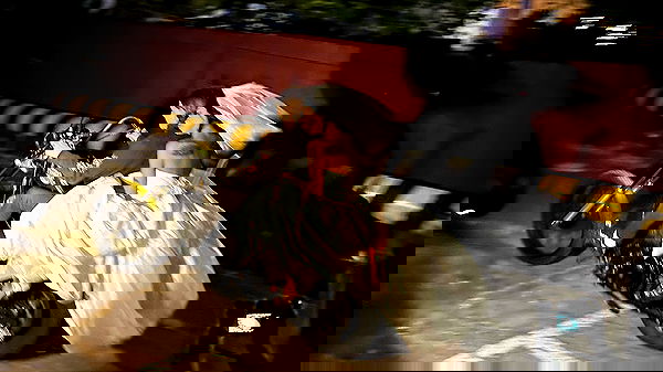 dreambabydrea dreambabydrea archive image