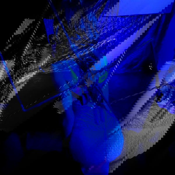 dreambabydrea dreambabydrea archive image