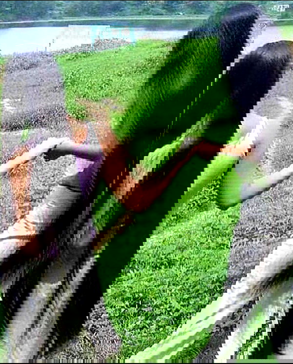 dreambabydrea dreambabydrea archive image