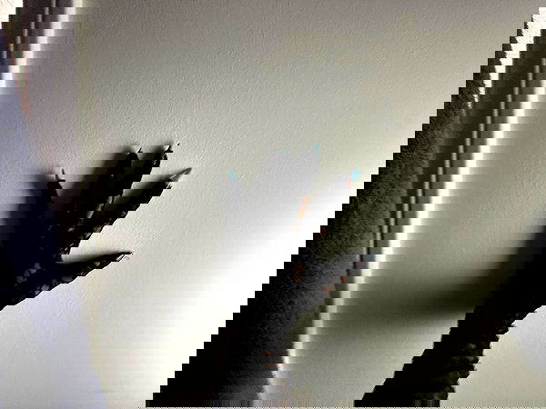 dreambabydrea dreambabydrea archive image