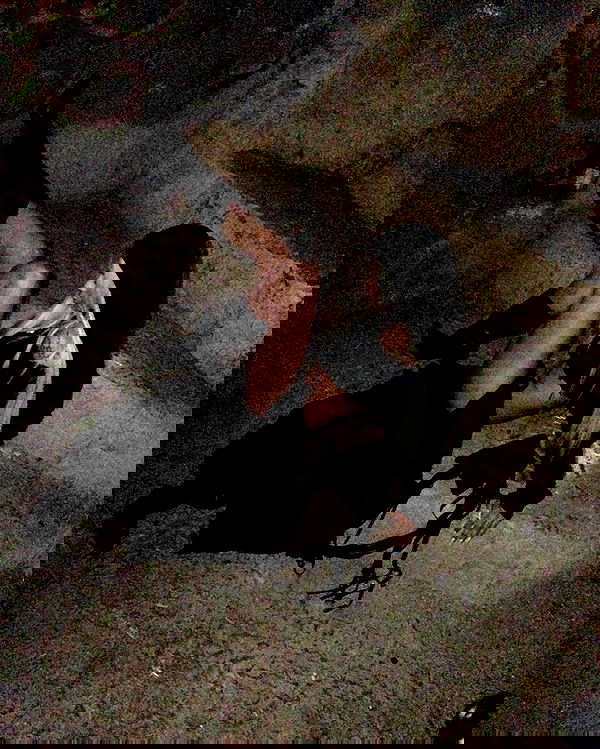 dreambabydrea dreambabydrea archive image