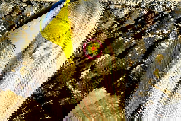 dreambabydrea dreambabydrea archive image