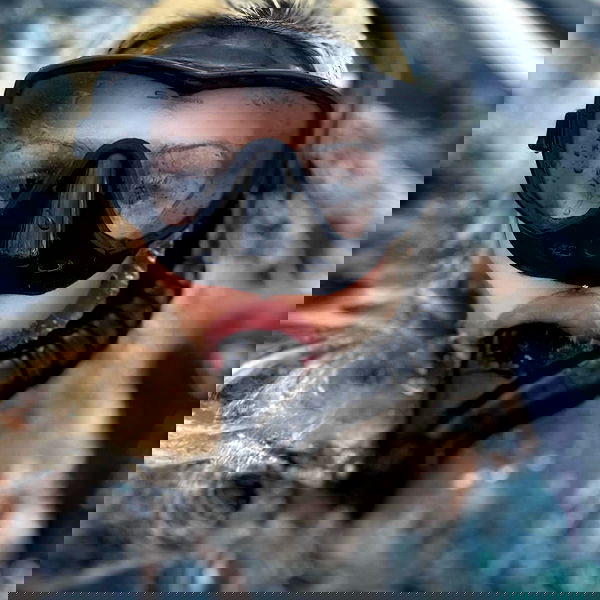 dreambabydrea dreambabydrea archive image