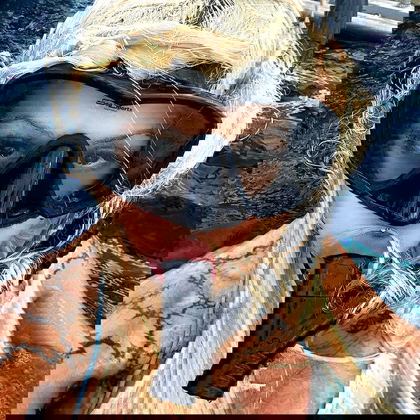 dreambabydrea dreambabydrea archive image