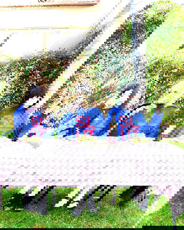 dreambabydrea dreambabydrea archive image