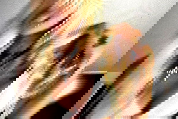 dreambabydrea dreambabydrea archive image