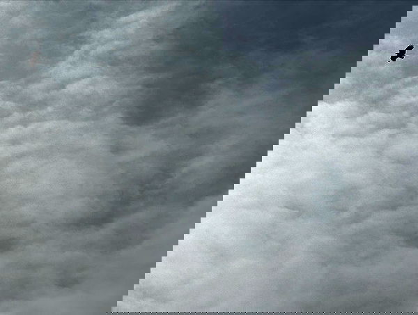 dreambabydrea dreambabydrea archive image