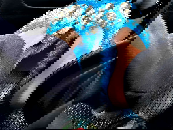 dreambabydrea dreambabydrea archive image