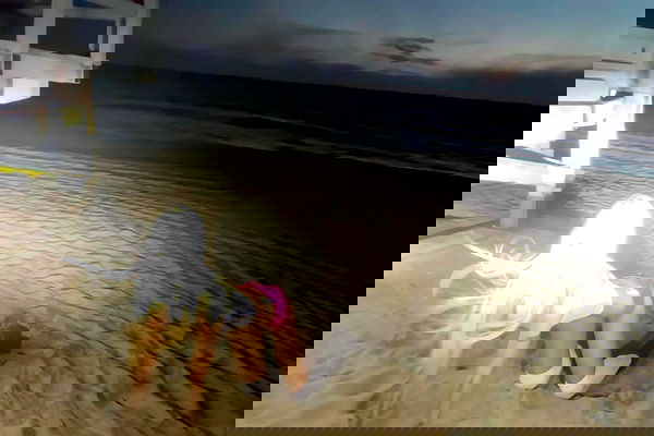 dreambabydrea dreambabydrea archive image