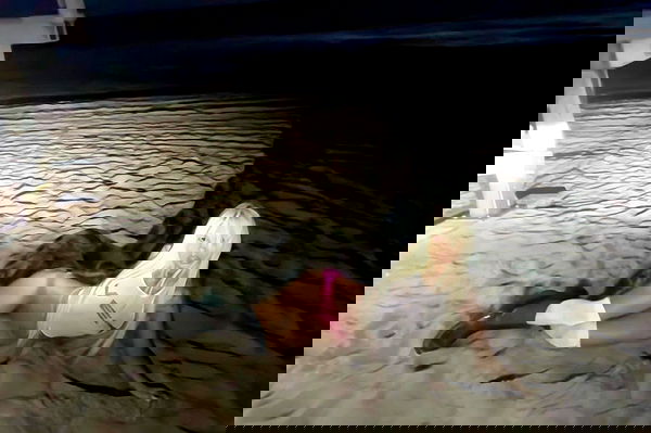 dreambabydrea dreambabydrea archive image