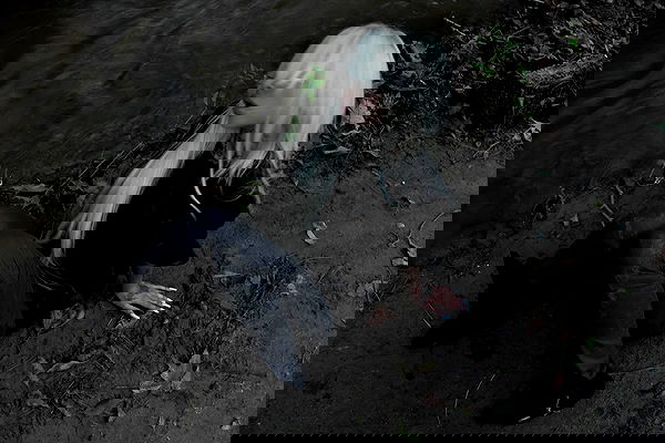 dreambabydrea dreambabydrea archive image