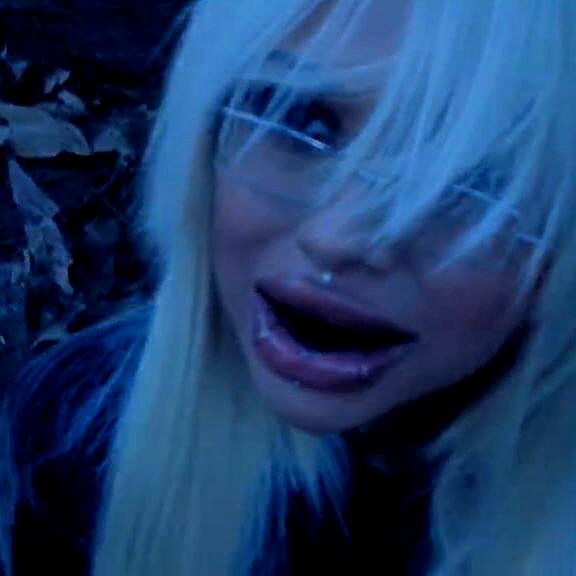 dreambabydrea dreambabydrea archive image