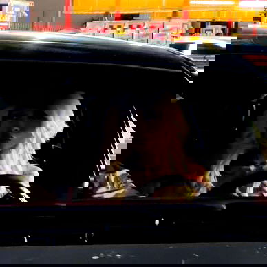 dreambabydrea dreambabydrea archive image