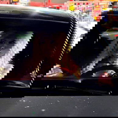 dreambabydrea dreambabydrea archive image