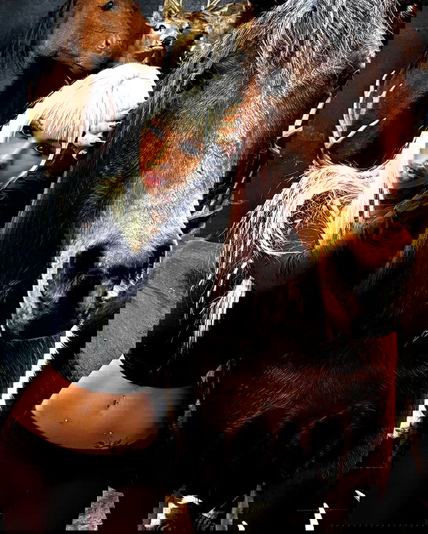 dreambabydrea dreambabydrea archive image