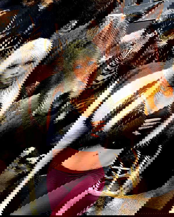 dreambabydrea dreambabydrea archive image